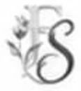 FS logo